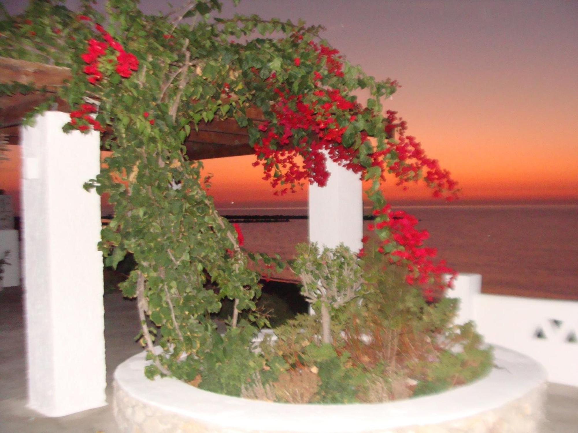 Παραθιν Αλοσ 2 Apartamento Skyros Exterior foto
